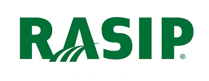 Rasip